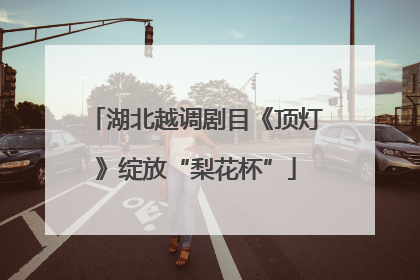 湖北越调剧目《顶灯》绽放“梨花杯”