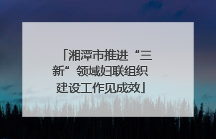 湘潭市推进“三新”领域妇联组织建设工作见成效