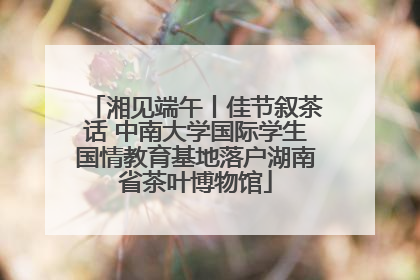 湘见端午丨佳节叙茶话 中南大学国际学生国情教育基地落户湖南省茶叶博物馆