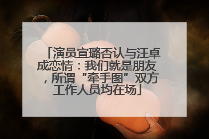 演员宣璐否认与汪卓成恋情：我们就是朋友，所谓“牵手图”双方工作人员均在场