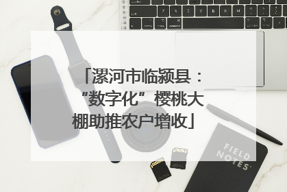 漯河市临颍县：“数字化”樱桃大棚助推农户增收