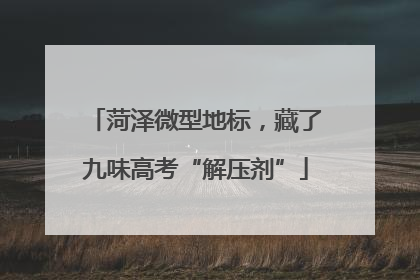菏泽微型地标，藏了九味高考“解压剂”