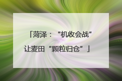 菏泽：“机收会战”让麦田“颗粒归仓”