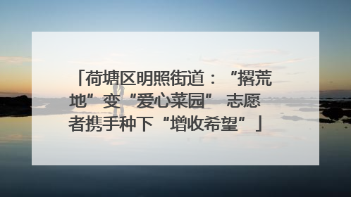 荷塘区明照街道：“撂荒地”变“爱心菜园” 志愿者携手种下“增收希望”