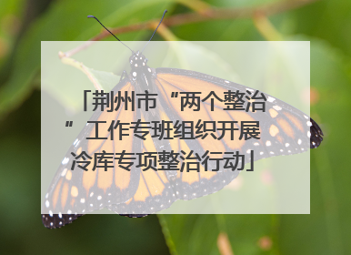 荆州市“两个整治”工作专班组织开展冷库专项整治行动