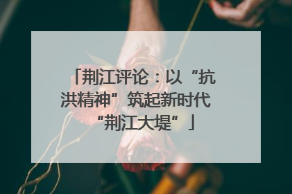 荆江评论：以“抗洪精神”筑起新时代“荆江大堤”