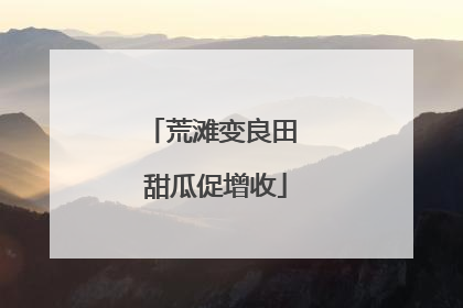 荒滩变良田 甜瓜促增收