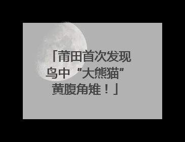 莆田首次发现鸟中“大熊猫”黄腹角雉！