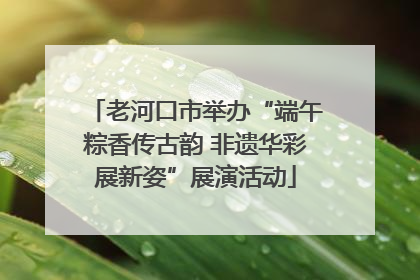 老河口市举办“端午粽香传古韵 非遗华彩展新姿”展演活动