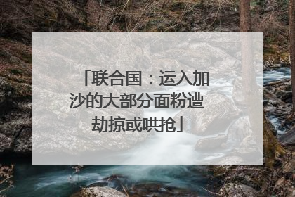 联合国：运入加沙的大部分面粉遭劫掠或哄抢