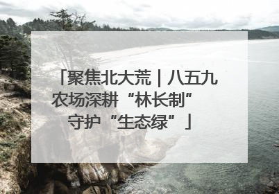 聚焦北大荒｜八五九农场深耕“林长制” 守护“生态绿”