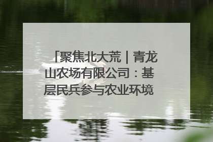 聚焦北大荒｜青龙山农场有限公司：基层民兵参与农业环境综合治理显效