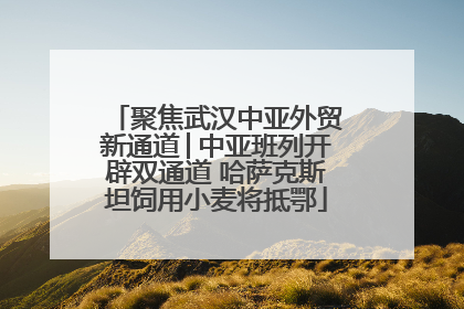 聚焦武汉中亚外贸新通道│中亚班列开辟双通道 哈萨克斯坦饲用小麦将抵鄂
