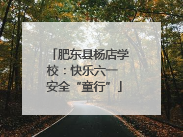 肥东县杨店学校：快乐六一 安全“童行”