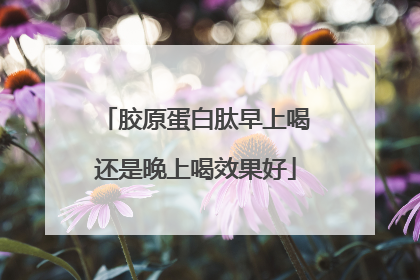 胶原蛋白肽早上喝还是晚上喝效果好