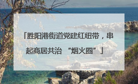 胜阳港街道党建红纽带，串起商居共治 “烟火圈”