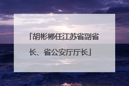 胡彬郴任江苏省副省长、省公安厅厅长