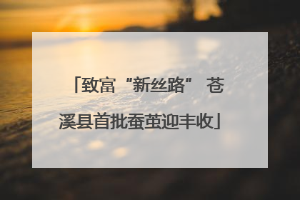 致富“新丝路” 苍溪县首批蚕茧迎丰收