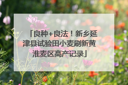 良种+良法！新乡延津县试验田小麦刷新黄淮麦区高产记录