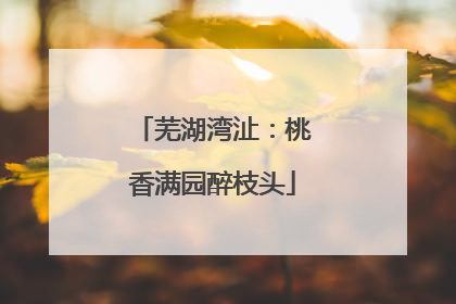 芜湖湾沚：桃香满园醉枝头