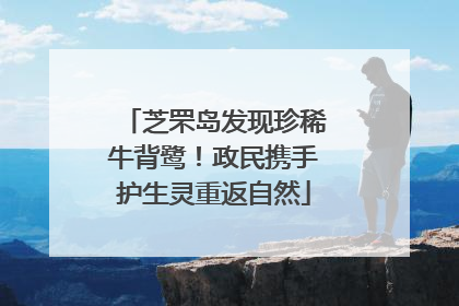 芝罘岛发现珍稀牛背鹭！政民携手护生灵重返自然