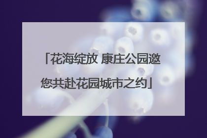 花海绽放 康庄公园邀您共赴花园城市之约