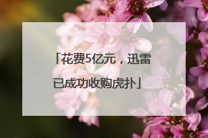 花费5亿元，迅雷已成功收购虎扑