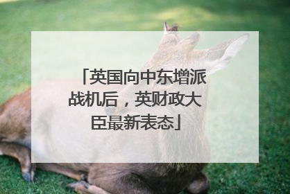 英国向中东增派战机后，英财政大臣最新表态