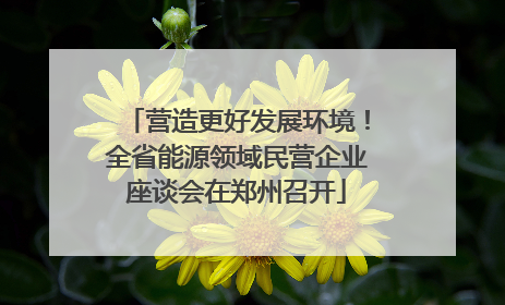 营造更好发展环境！全省能源领域民营企业座谈会在郑州召开