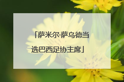 萨米尔·萨乌德当选巴西足协主席