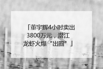 董宇辉4小时卖出3800万元，潜江龙虾火爆“出圈”