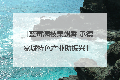 蓝莓满枝果飘香 承德宽城特色产业助振兴