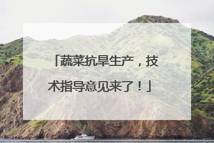 蔬菜抗旱生产，技术指导意见来了！