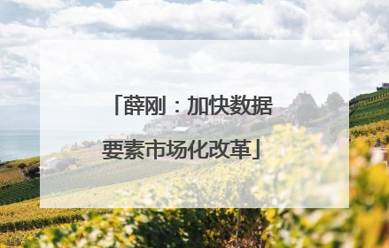 薛刚：加快数据要素市场化改革