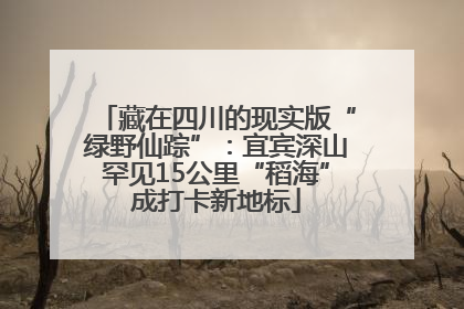 藏在四川的现实版“绿野仙踪”：宜宾深山罕见15公里“稻海”成打卡新地标