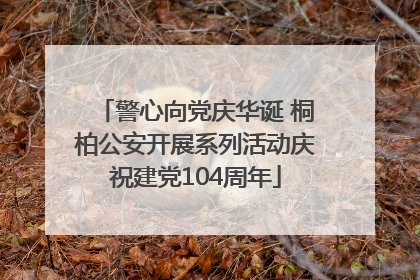 警心向党庆华诞 桐柏公安开展系列活动庆祝建党104周年