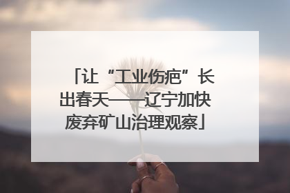 让“工业伤疤”长出春天——辽宁加快废弃矿山治理观察