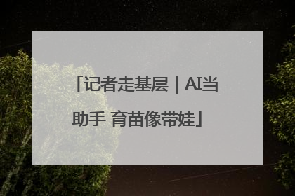 记者走基层｜AI当助手 育苗像带娃