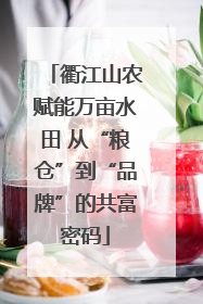 衢江山农赋能万亩水田 从“粮仓”到“品牌”的共富密码