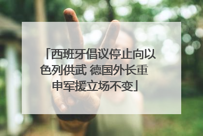 西班牙倡议停止向以色列供武 德国外长重申军援立场不变