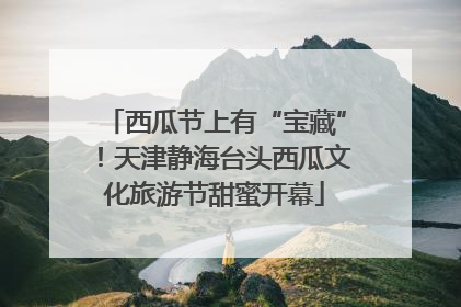 西瓜节上有“宝藏”！天津静海台头西瓜文化旅游节甜蜜开幕