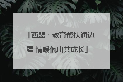 西盟：教育帮扶润边疆 情暖佤山共成长