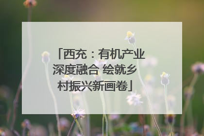 西充：有机产业深度融合 绘就乡村振兴新画卷