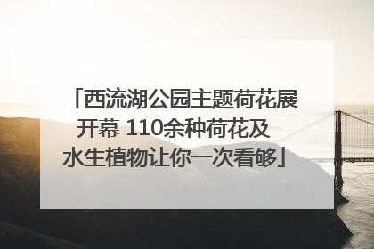 西流湖公园主题荷花展开幕 110余种荷花及水生植物让你一次看够