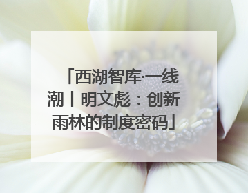 西湖智库·一线潮丨明文彪：创新雨林的制度密码
