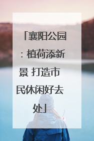 襄阳公园：植荷添新景 打造市民休闲好去处