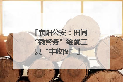 襄阳公安：田间“微警务”绘就三夏“丰收图”