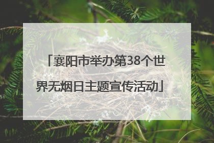 襄阳市举办第38个世界无烟日主题宣传活动