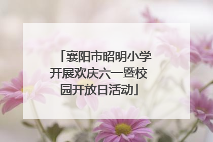 襄阳市昭明小学开展欢庆六一暨校园开放日活动