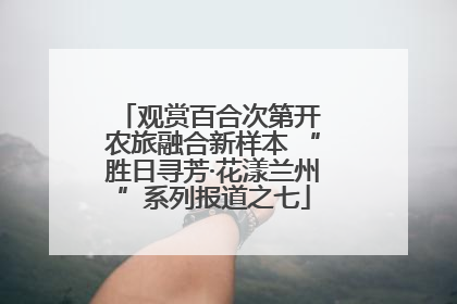 观赏百合次第开 农旅融合新样本 “胜日寻芳·花漾兰州”系列报道之七